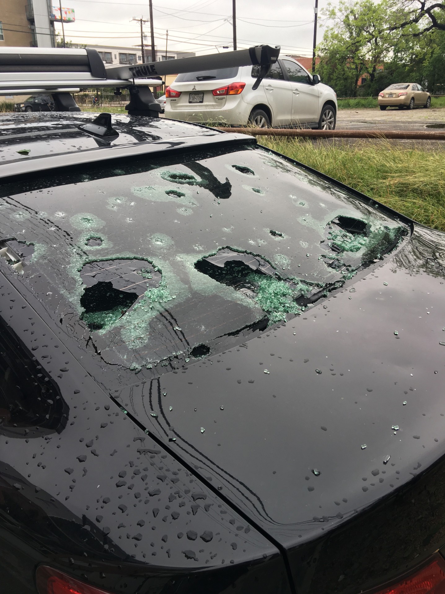 hail-damage_t20_pYJN6e (1)